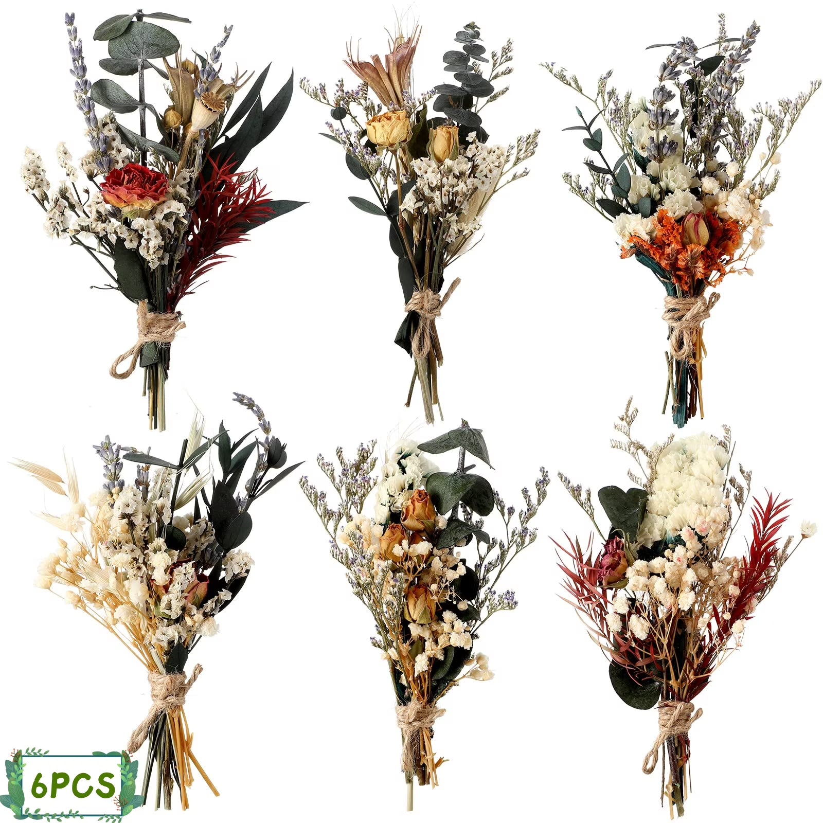 MODANU Boho Dried Flower Bouquets (6-Piece Set, Style 1)